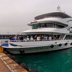 Boat Tours and Cruises Bosphorus Cruise with Open Buffet Lunch Boat Tours and Cruises Shop Online at Dubai Offers 3