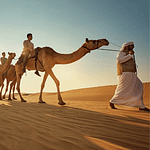 Camel Trekking Experience In Abu Dhabi With Transfers In Land Cruiser – Top-Rated Attractions Top-Rated Attractions Shop Online at Dubai Offers 3