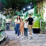 Dubai Aquarium & Underwater Zoo – Ultimate Experience – Experiences Experiences Shop Online at Dubai Offers 3