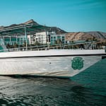 Exclusive Boating Experience – Dolphins Watching – Sightseeing and Tours Sightseeing and Tours Shop Online at Dubai Offers 3