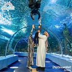 Experiences Fakieh Aquarium Experiences Shop Online at Dubai Offers 3