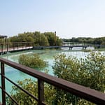 Jubail Mangrove Park – Boardwalk Experience – Recently Added Experiences Recently Added Experiences Shop Online at Dubai Offers 3