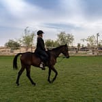 Sunset Horse Riding at Al Marmoom Oasis with a 6-Course Bedouin Dinner – Outdoor Attractions Outdoor Attractions Shop Online at Dubai Offers 3