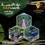 Tropical Land – Top-Rated Attractions Top-Rated Attractions Shop Online at Dubai Offers 3