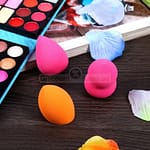 51% off 3Pcs Facial Blush Beauty Flawless Applicator Beauty Care Shop Online at Dubai Offers 12