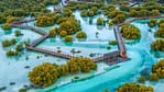 Jubail Mangrove Park – Boardwalk Experience – Recently Added Experiences Recently Added Experiences Shop Online at Dubai Offers 4