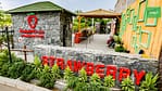 Top-Rated Attractions Strawberry Farm Top-Rated Attractions Shop Online at Dubai Offers 4