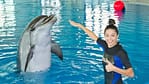 Dubai Dolphinarium Swimming With Dolphins – Dubai Dolphinarium Dubai Dolphinarium Shop Online at Dubai Offers 4