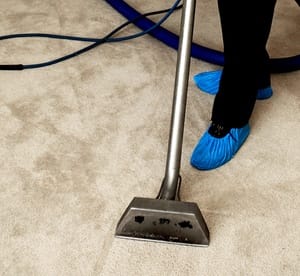 Carpet Cleaning on Up to 15 Sq. Metres by Ace Klean Building Services Home Services Shop Online at Dubai Offers