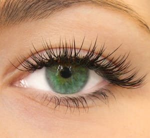 Choice of Eyelash Extensions at Dantel Beauty Salon Beauty Care Shop Online at Dubai Offers