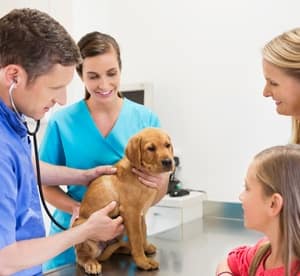 Choice of Pet Check-Up at Canadian Veterinary Clinic Dubai Local Services Shop Online at Dubai Offers 2