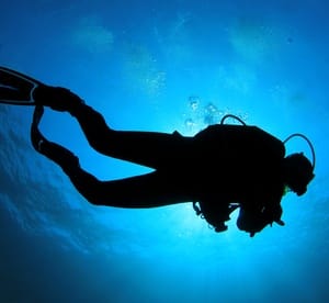 Choice of Two-Hour Diving Introduction at Nemo Diving Centre Entertainment Offers Shop Online at Dubai Offers