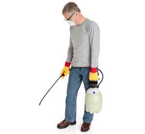 Choose from a Range of Pest Control Services from Intrepid Home Services Shop Online at Dubai Offers