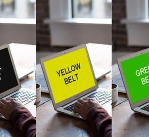 Lean Six Sigma Yellow, Green and Black Belt Online Course with LearningLean (Up to 96% Off) Local Services Shop Online at Dubai Offers