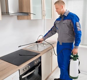 Pest Control with Pest Man Pest Control Home Services Shop Online at Dubai Offers