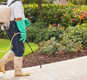 Up to 40% Off on Pest Control Service at Eco Guardians Pest control sanitization and Disinfection Services LLC Home Services Shop Online at Dubai Offers