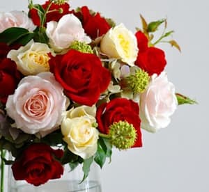 Up to 48-Rose Bouquet in Choice of Colour with Card and Delivery from Flowers with Love Miscellaneous Shop Online at Dubai Offers