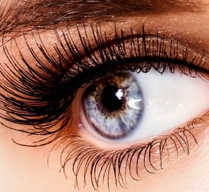 [Up to 67% off] Semi-Permanent Eyelash Extensions with Refill starting from AED 109 Beauty Care Shop Online at Dubai Offers