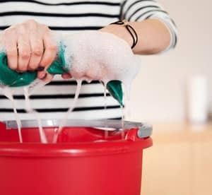 Up to Eight Hours of Cleaning from Al Ramlah Cleaning & Pest Control Services Home Services Shop Online at Dubai Offers