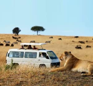 ✈ Kenya: 3-Night Tour with Accommodation, Meals, Safari Rides, Transfers and Flights* Holiday Packages Shop Online at Dubai Offers