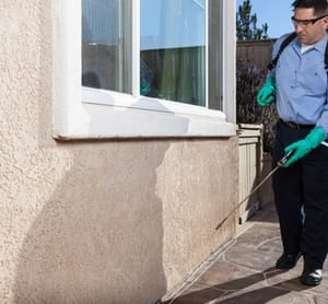 Choice of Pest Control Service Home Services Shop Online at Dubai Offers