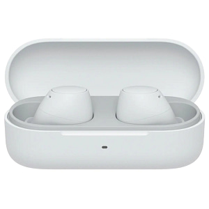 Sony True Wireless Earbuds White Headphones Shop Online at Dubai Offers