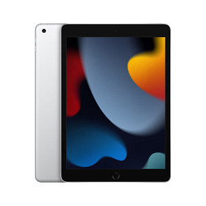 10.2-inch iPad Wi-Fi 256GB – Silver Gems offers Shop Online at Dubai Offers