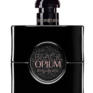 Black Opium Le Parfum Black Opium Shop Online at Dubai Offers