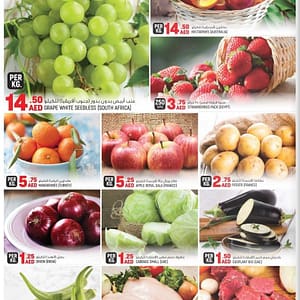 Fresh Fruits & Vegetables Lowest Price Offer Food/Grocery Shop Online at Dubai Offers 2