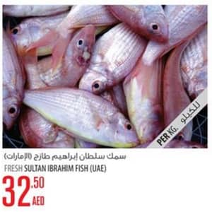 Fresh Sultan Ibrahim Fish (valid till 31st AUG,2016) Food/Grocery Shop Online at Dubai Offers