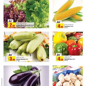 Fresh Vegetables Special Offers @ lulu Food/Grocery Shop Online at Dubai Offers