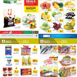 Nesto Budget Deals (Offer Limited Period) Dairy Products Shop Online at Dubai Offers