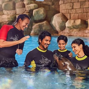 Water Parks Dolphin Bay Experiences Travel, Activities & Events Shop Online at Dubai Offers