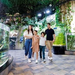 Dubai Aquarium & Underwater Zoo – Ultimate Experience – Experiences Experiences Shop Online at Dubai Offers