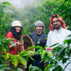 From Arabica to Arabian - Coffee Experience at a local farm  Farsha Park