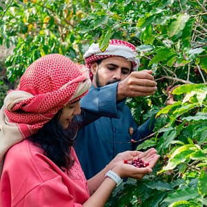 Hike with a local coffee farmer  Farsha Park