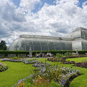 Kew Gardens & Kew Palace: Admission Ticket  Kew Gardens