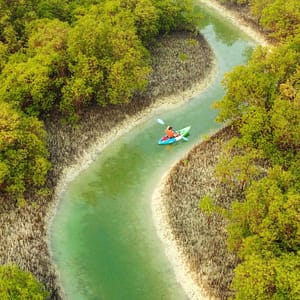 Guided Kayak Tour in the Reem Central Park Mangroves  Husaak Adventures Abu Dhabi - Reem Central Park Mangroves