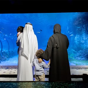 The National Aquarium Abu Dhabi  The National Aquarium Abu Dhabi