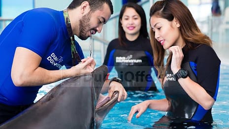 Dubai Dolphinarium Trainer for a Day Program