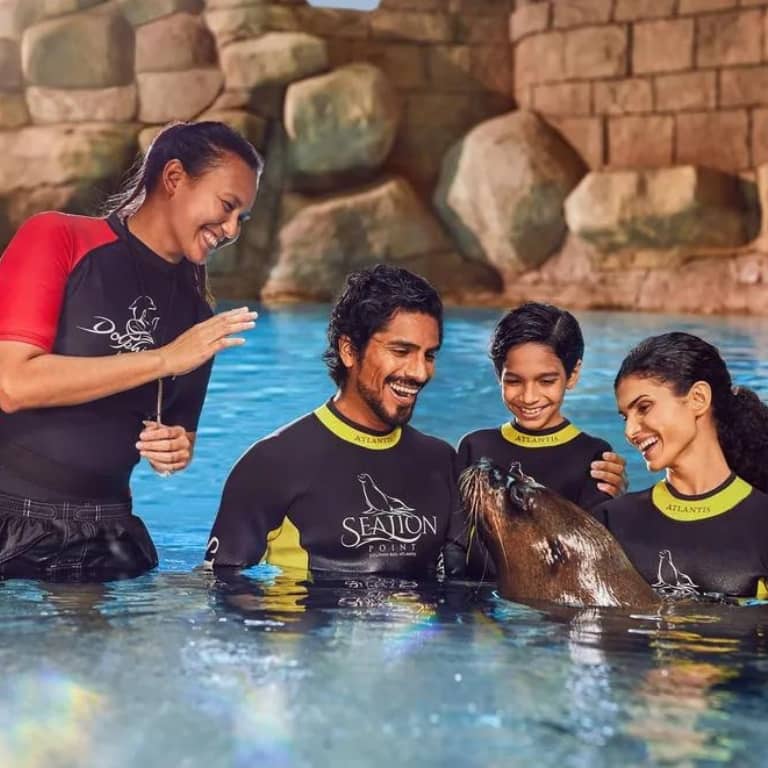 Dolphin Bay Experiences  Atlantis