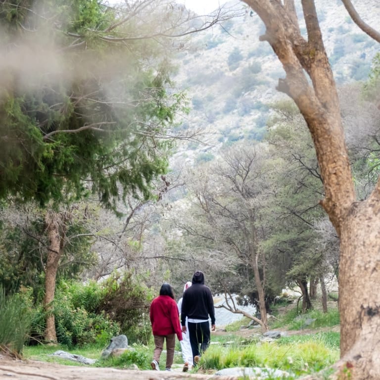 In Hike to the Ain Jamal Waterfall  Arish Station