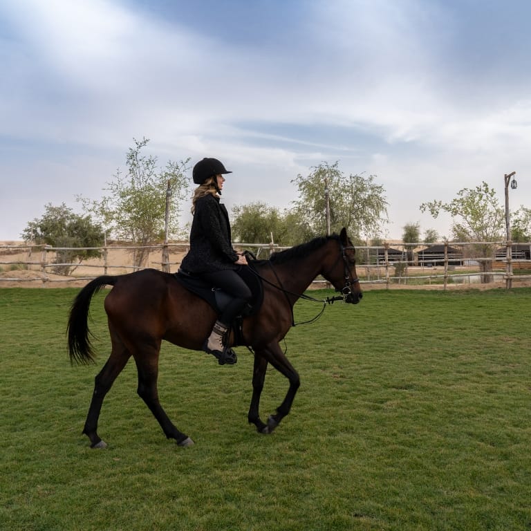 Sunset Horse Riding at Al Marmoom Oasis with a 6-Course Bedouin Dinner  Al Qudra