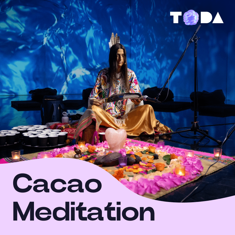 ToDA - Cacao Meditation 360°  Theatre of Digital Art