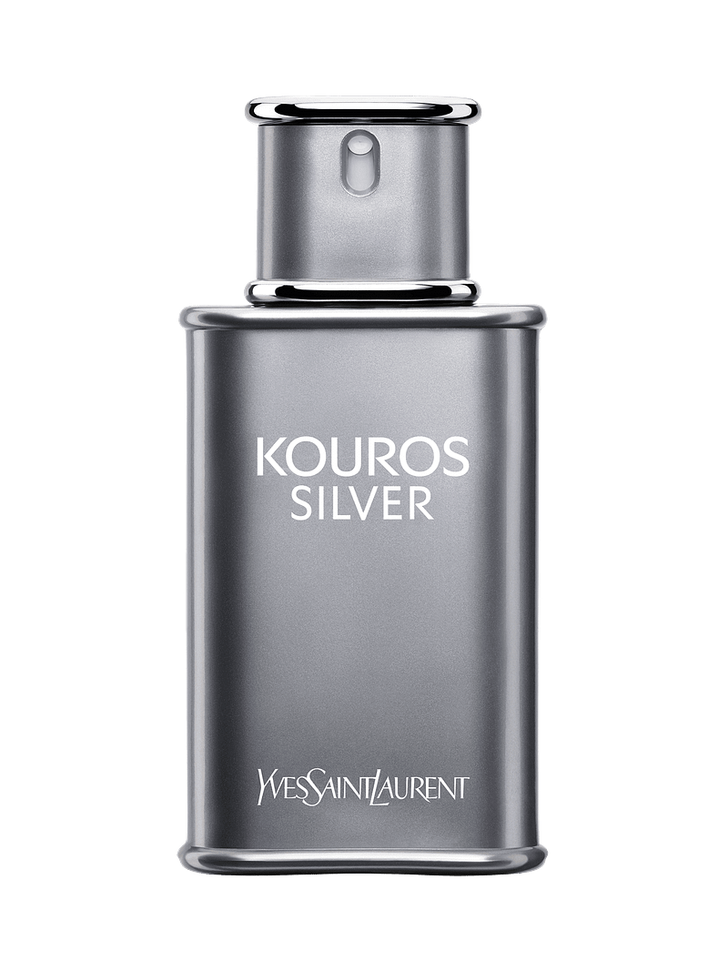 Kouros Silver Eau De Toilette Health & Beauty Shop Online at Dubai Offers 2