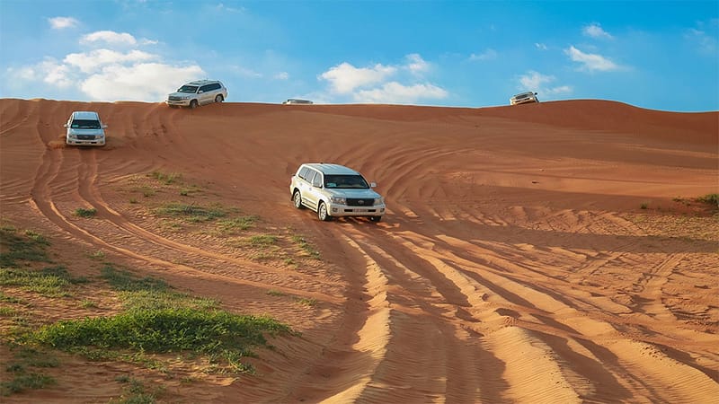 Sand Boarding and a Camel Ride  Gulf Tours