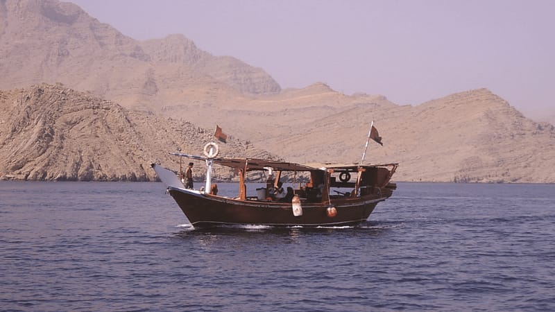 Muscat Dolphin Cruise With Shared Transfers Recently Added Experiences Muscat - Image 2