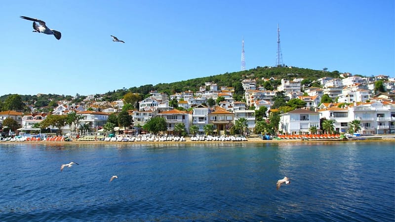 Ticket & Lunch from Istanbul  Istanbul