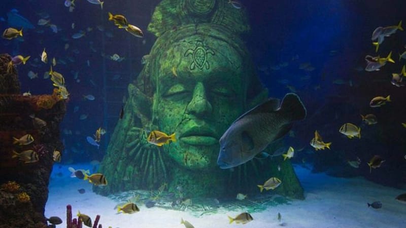 SEA LIFE Manchester Entry Ticket Theme Parks Trafford Palazzo - Image 2