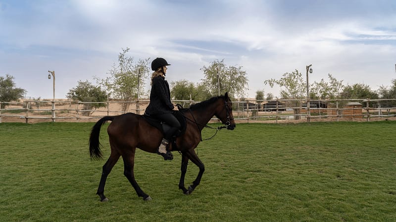 Sunset Horse Riding at Al Marmoom Oasis with a 6-Course Bedouin Dinner Outdoor Attractions Al Qudra - Image 2